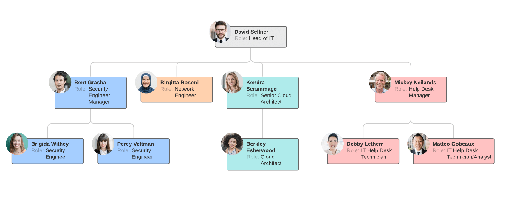 functional org chart