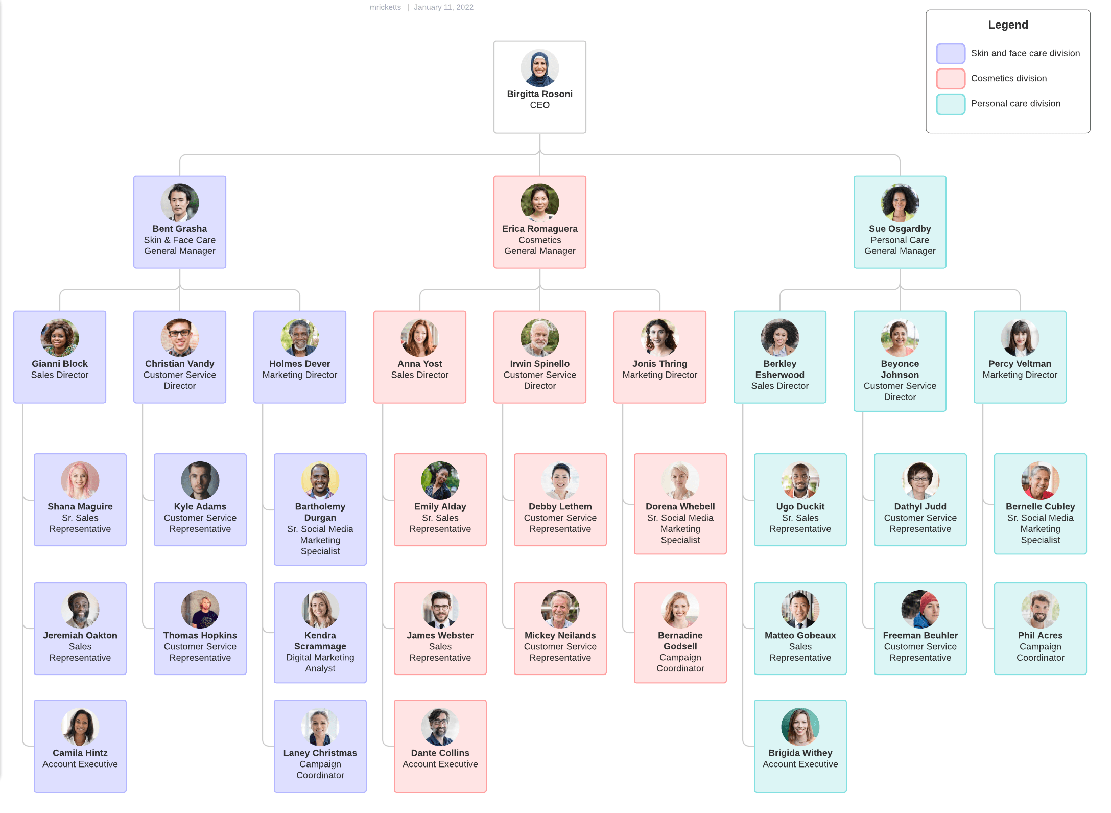 Product-based divisional org chart